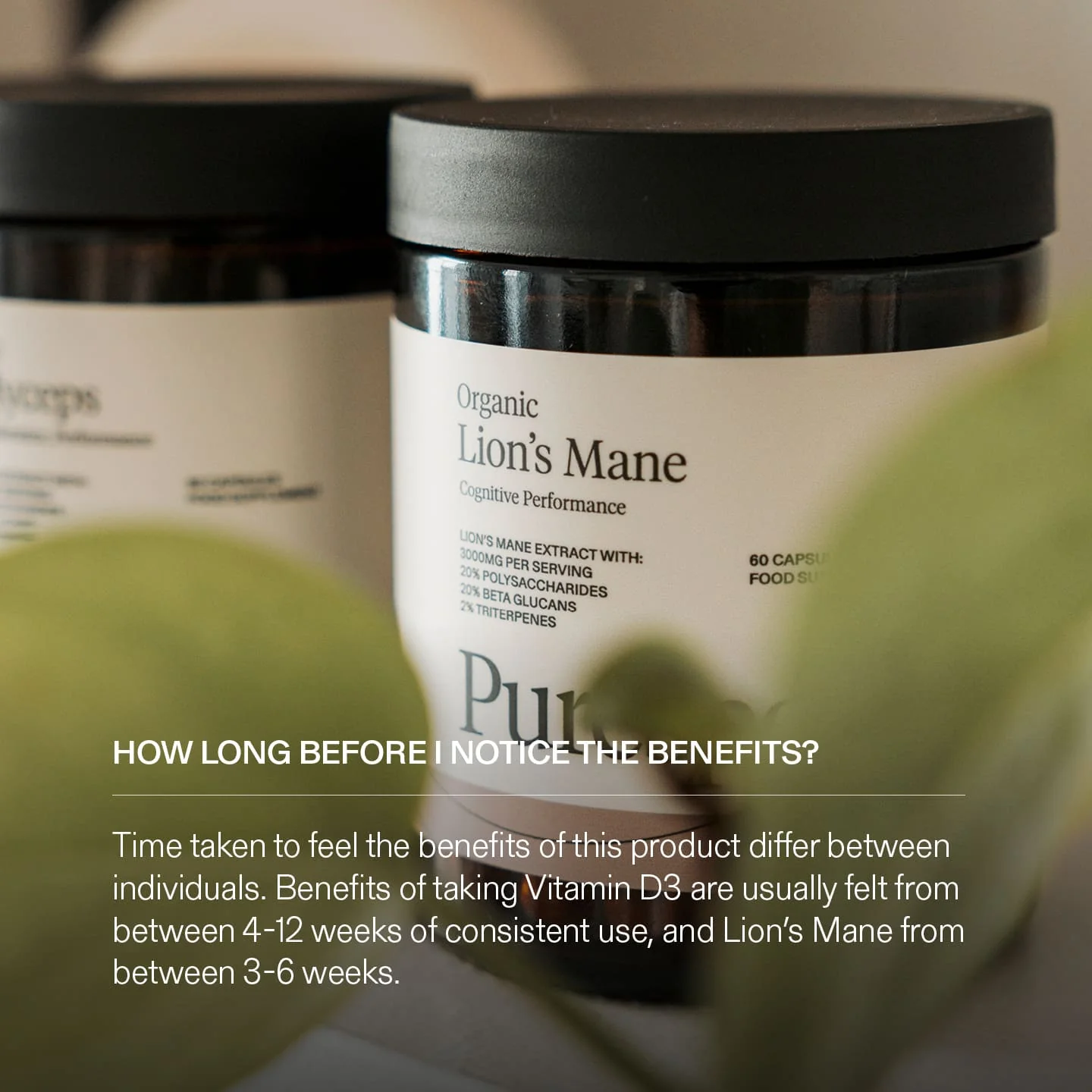 Cognitive Performance Bundle - Image 9